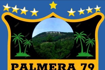 Palmera 79 Logo