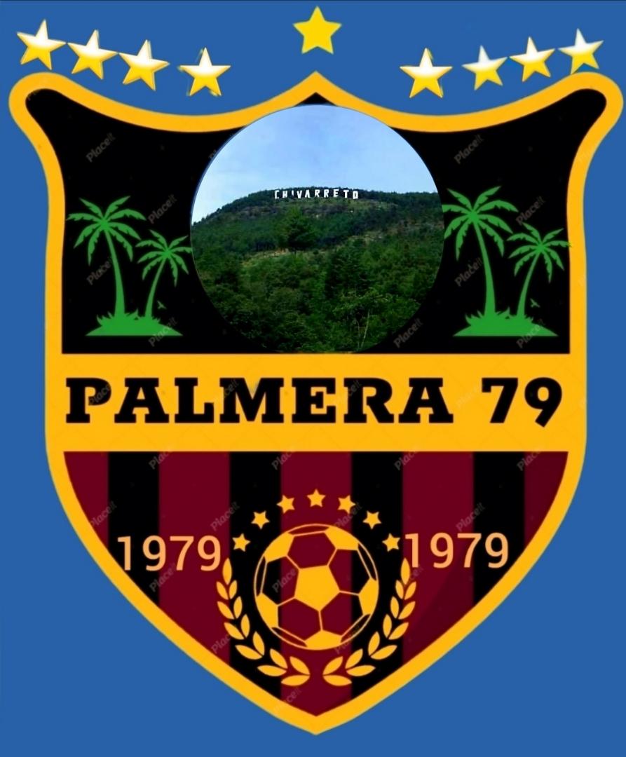 Palmera 79 Logo